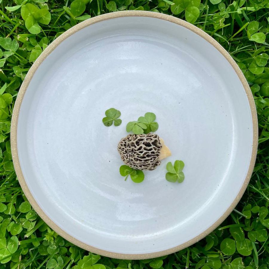 Spring Brings Awakening Gardens, a Symposium, Cider Tasting & More