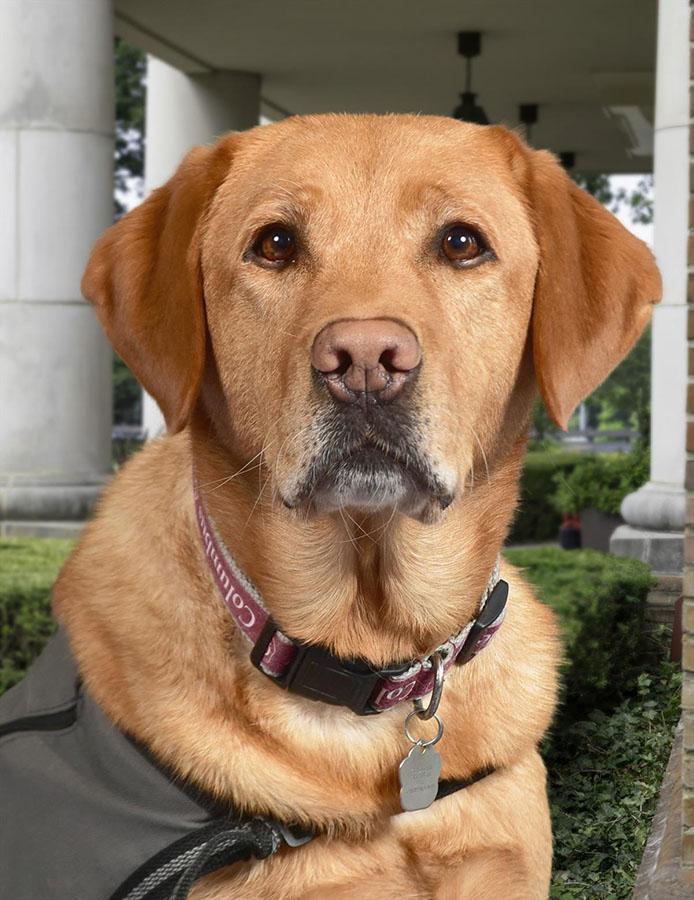 Nelson school picture