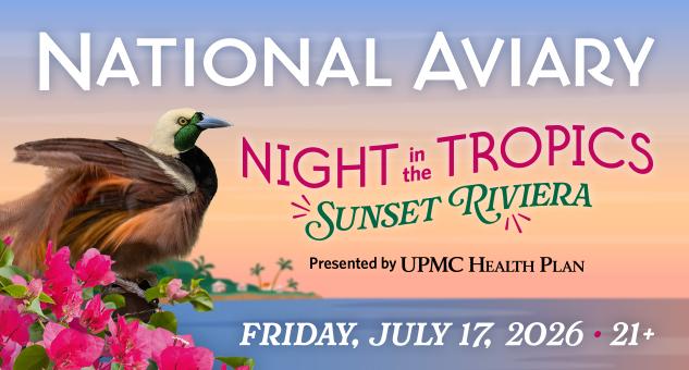 National Aviary Night in the Tropics Graphic