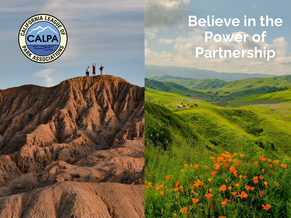 Your Feedback Needed - CALPA Educational Webinar: Next Gen CA State ...
