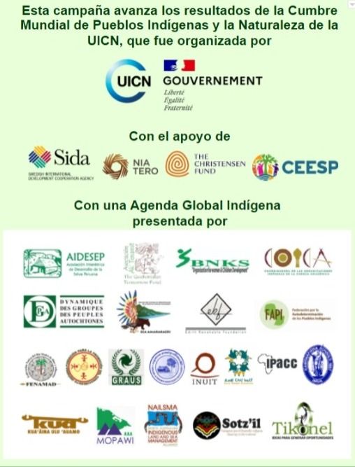 bottom logos spanish.jpg