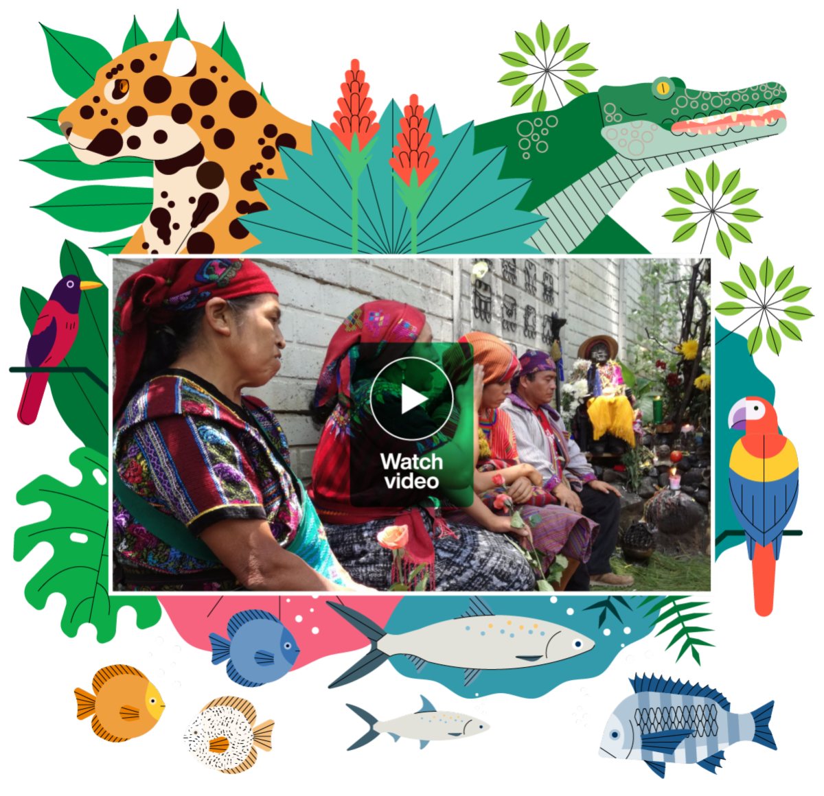 VIDEO-DIC-EN _1_.png