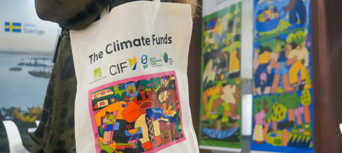 image_climate_funds.png_p1.png