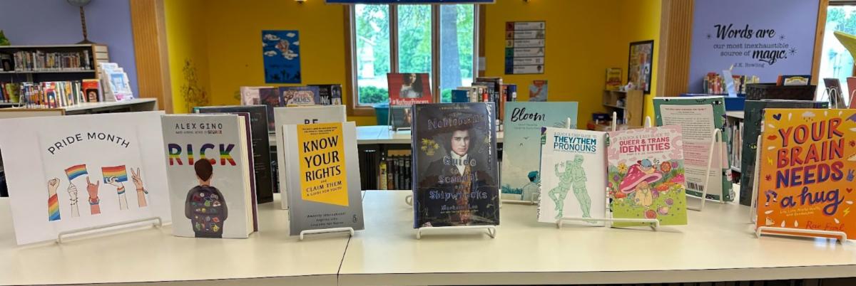 Pride Display at Dormann Library