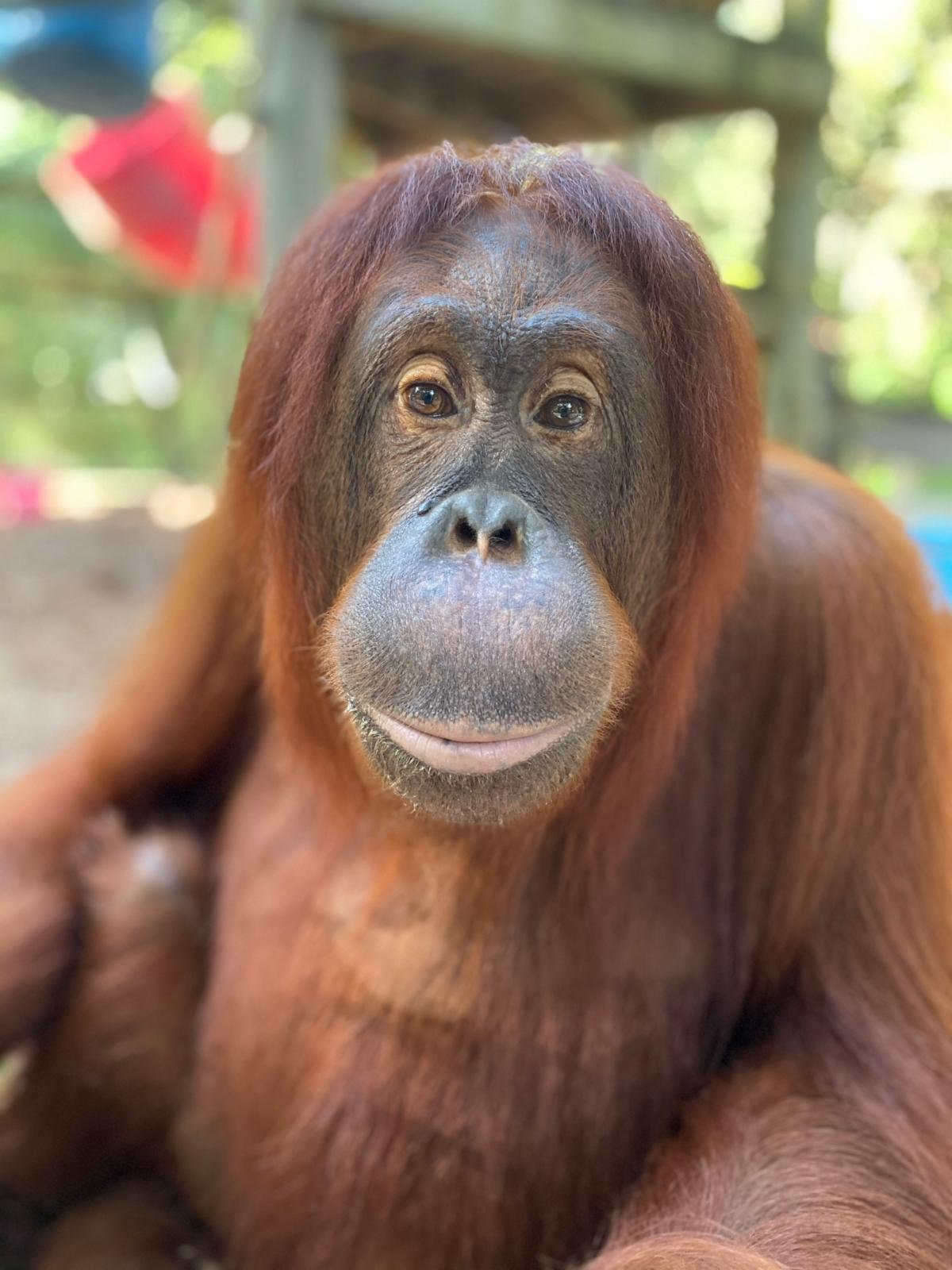 Geri