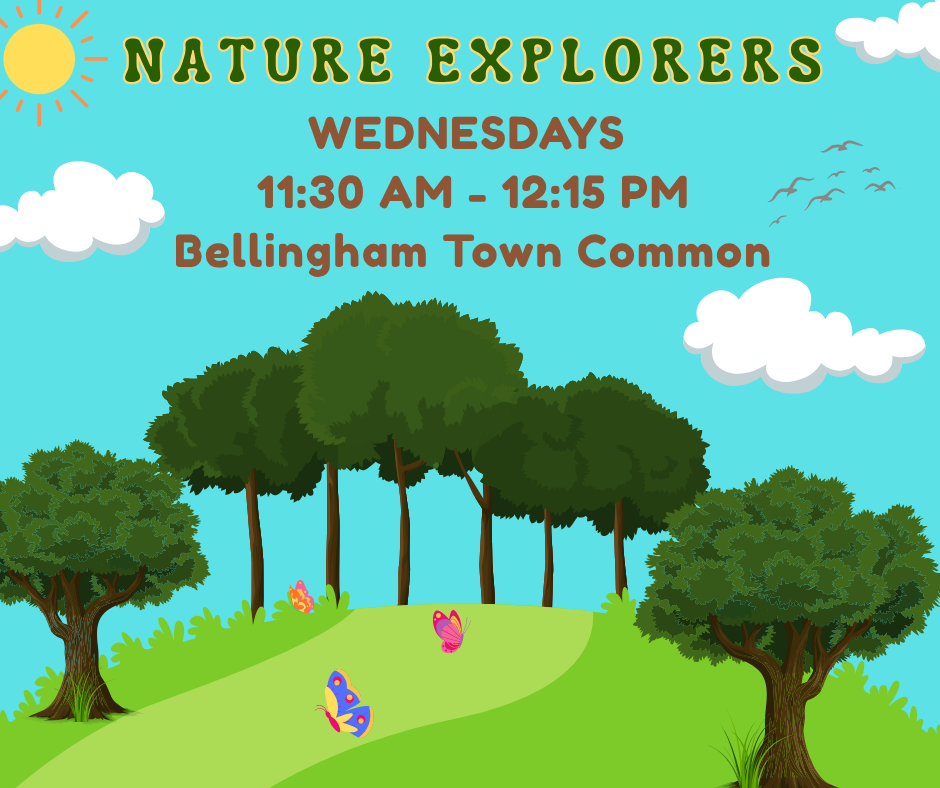 Nature Explorers. Wednesdays from 11:30 am - 12:15 pm at the Bellingham Town Common.