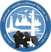 branding logo