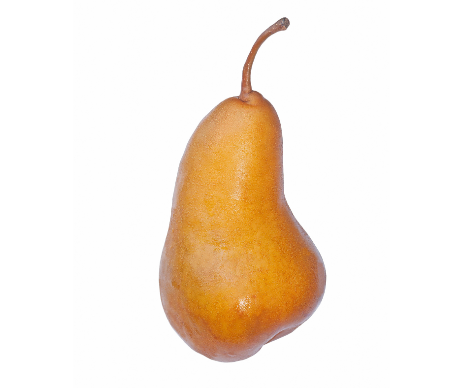 bosc pear