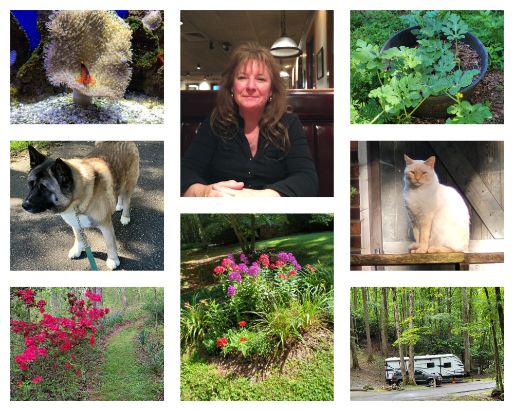 Know Your Rights SelfDefense and Firearms in North Carolina