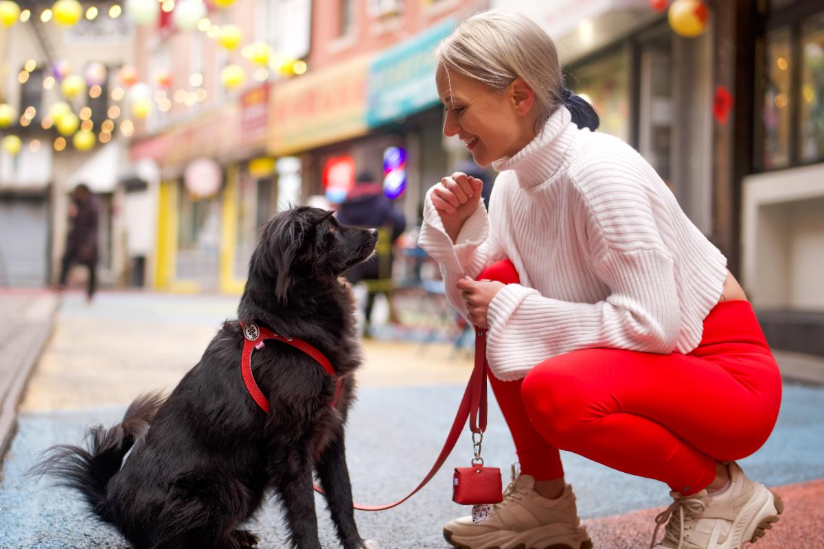 Reminder BIG DOG Black Friday Contest!