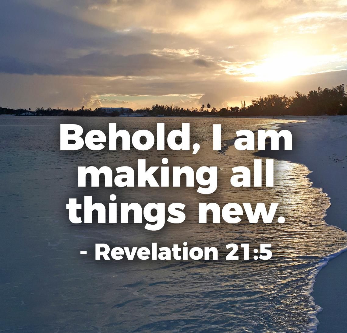 Little Madison Academy News from the Ark 121423