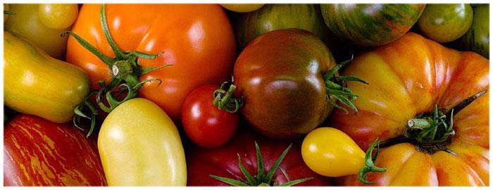 ÐÐ°ÑÑÐ¸Ð½ÐºÐ¸ Ð¿Ð¾ Ð·Ð°Ð¿ÑÐ¾ÑÑ cherry tomatoes