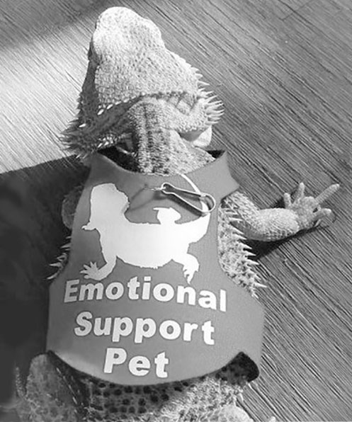 Emotional Support Pet