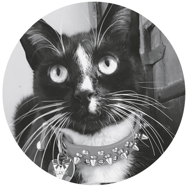 Cats Prone to Urinary Tract Issues