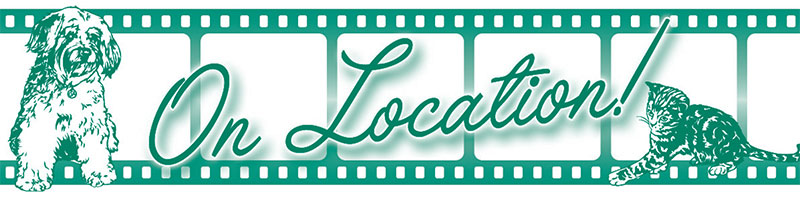 Actors and Others for Animals - On Location!