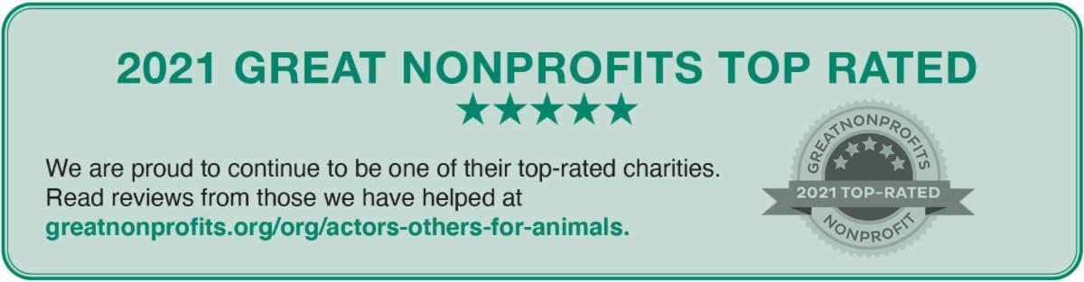 2021 Great Nonprofits