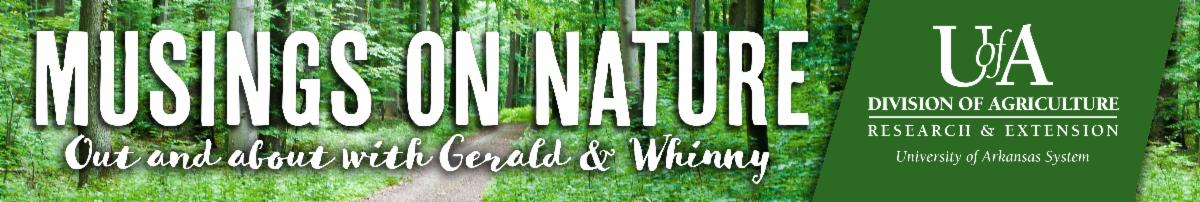 Musings on Nature image