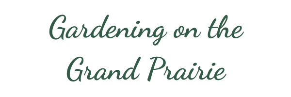 Gardening on the grand prairie header