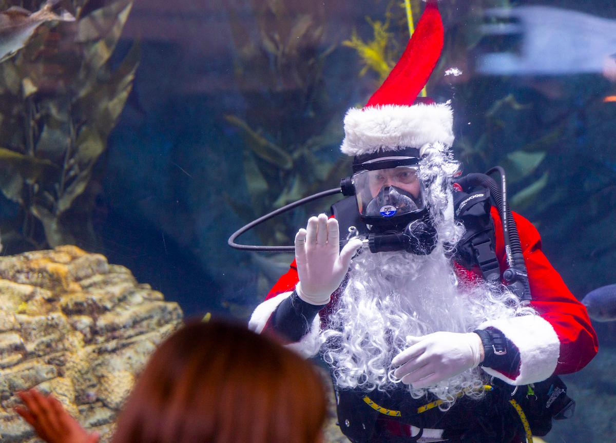 December Holiday Events