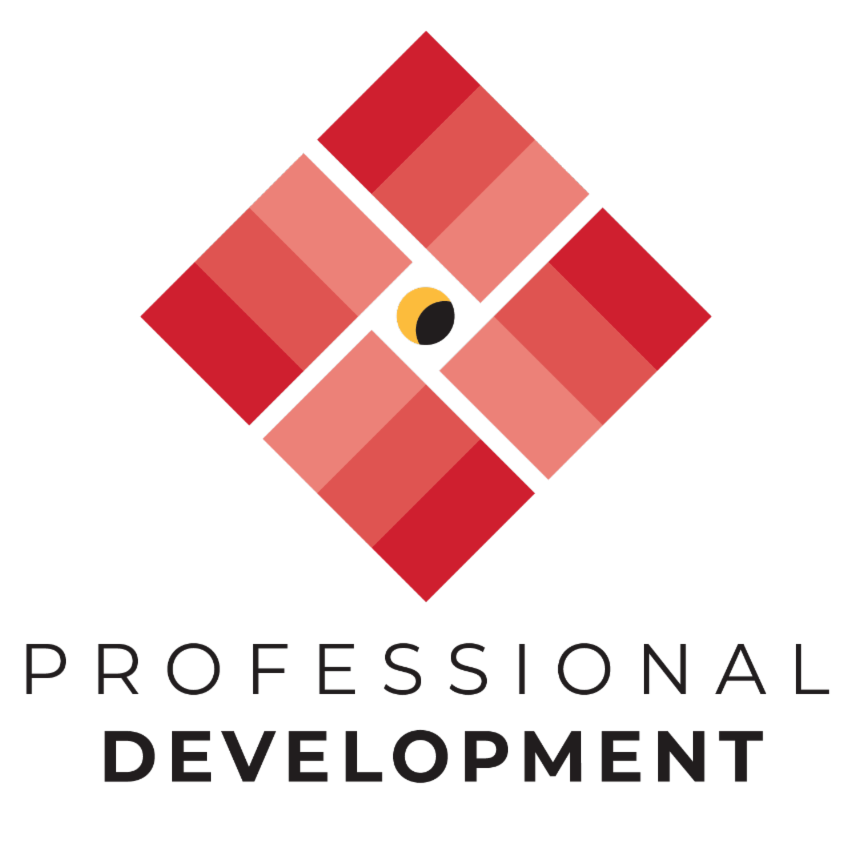professional devlopment program logo - red boxes with yellow and black circle in center