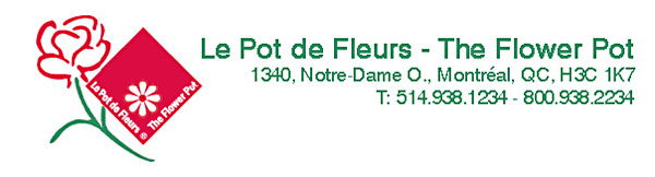 NoFrameBanner