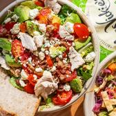 Chopt202.jpg