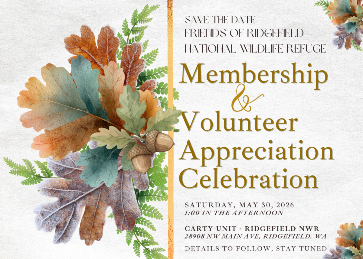 Save the Date Friends of Ridgefield National Wildlife Refuge Volunteer and Member Appreciation Celebration Saturday may 30 2026 1:00 in the afternoon Carty Unit 28908 NW Main AVE Ridgefield WA Details to Follow stay tuned