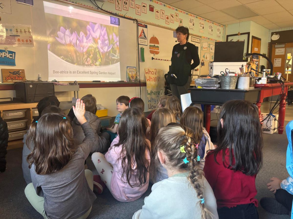 Anne Bulger teaching a classroom about bees