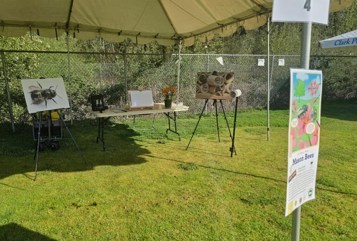 2nd Grade Bee education Tent
