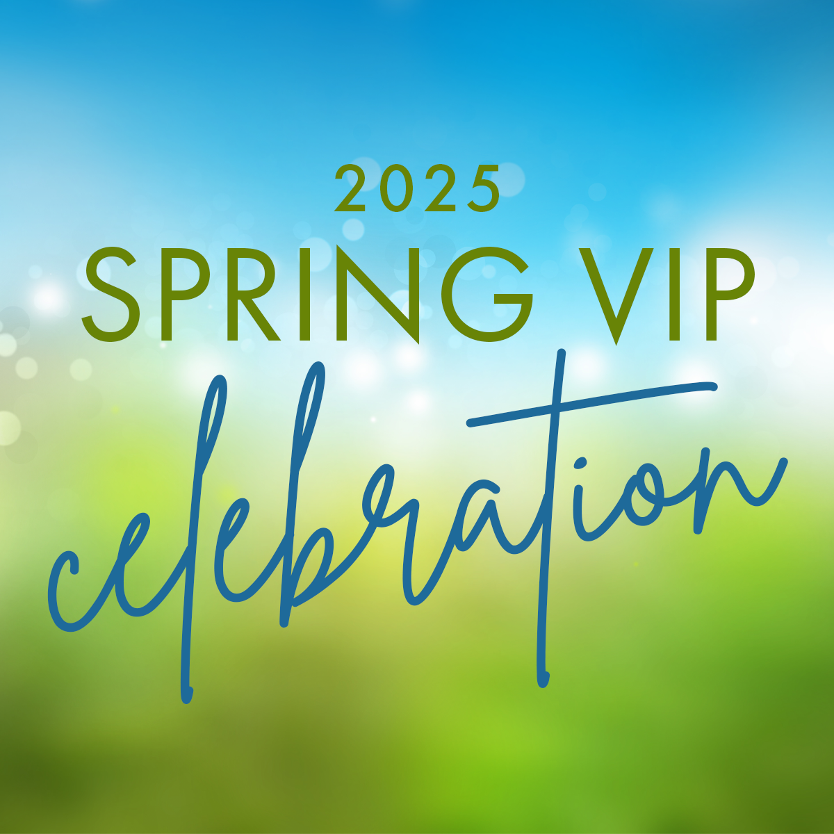 Boscov's Spring VIP