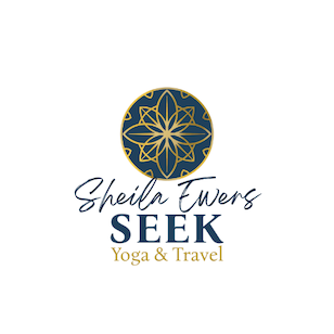 seek.png