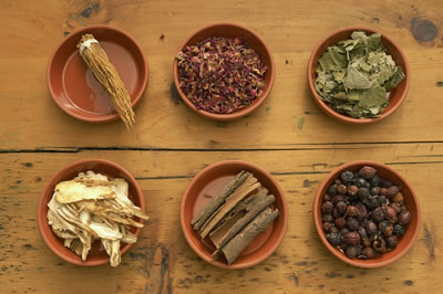 assorted-herbs.jpg