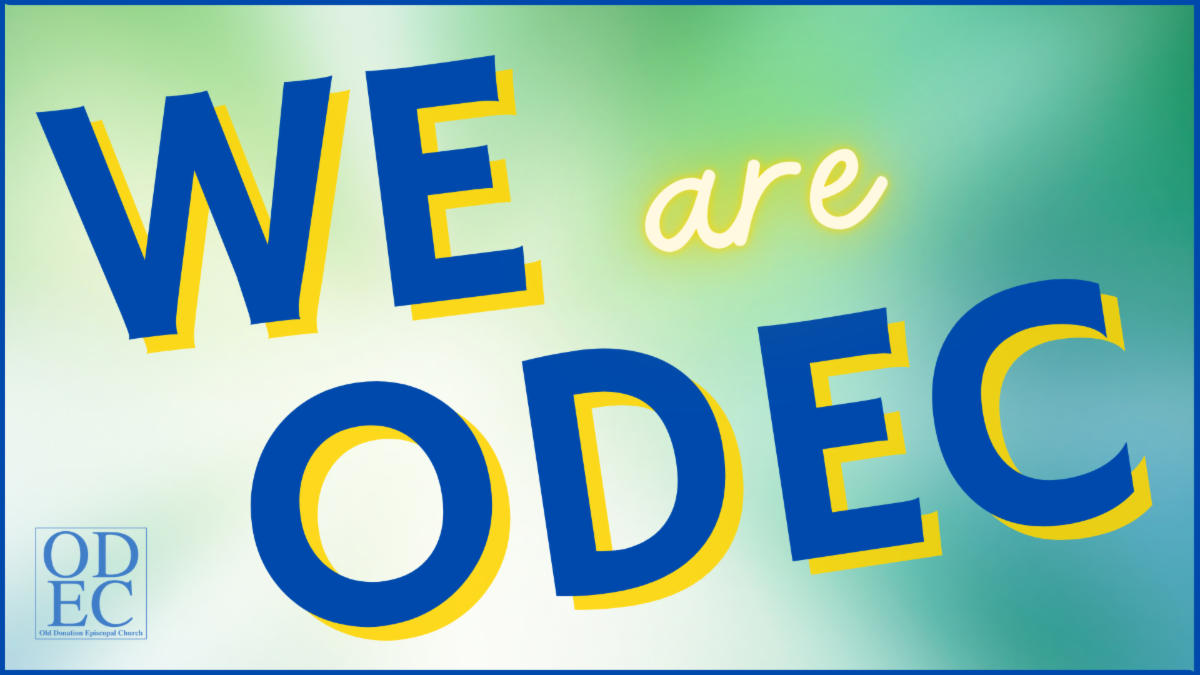 WE are ODEC 2024/2025.png