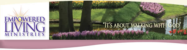 Pink Spring