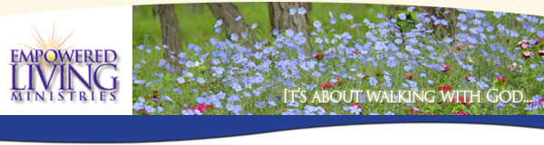 Forget Me Nots
