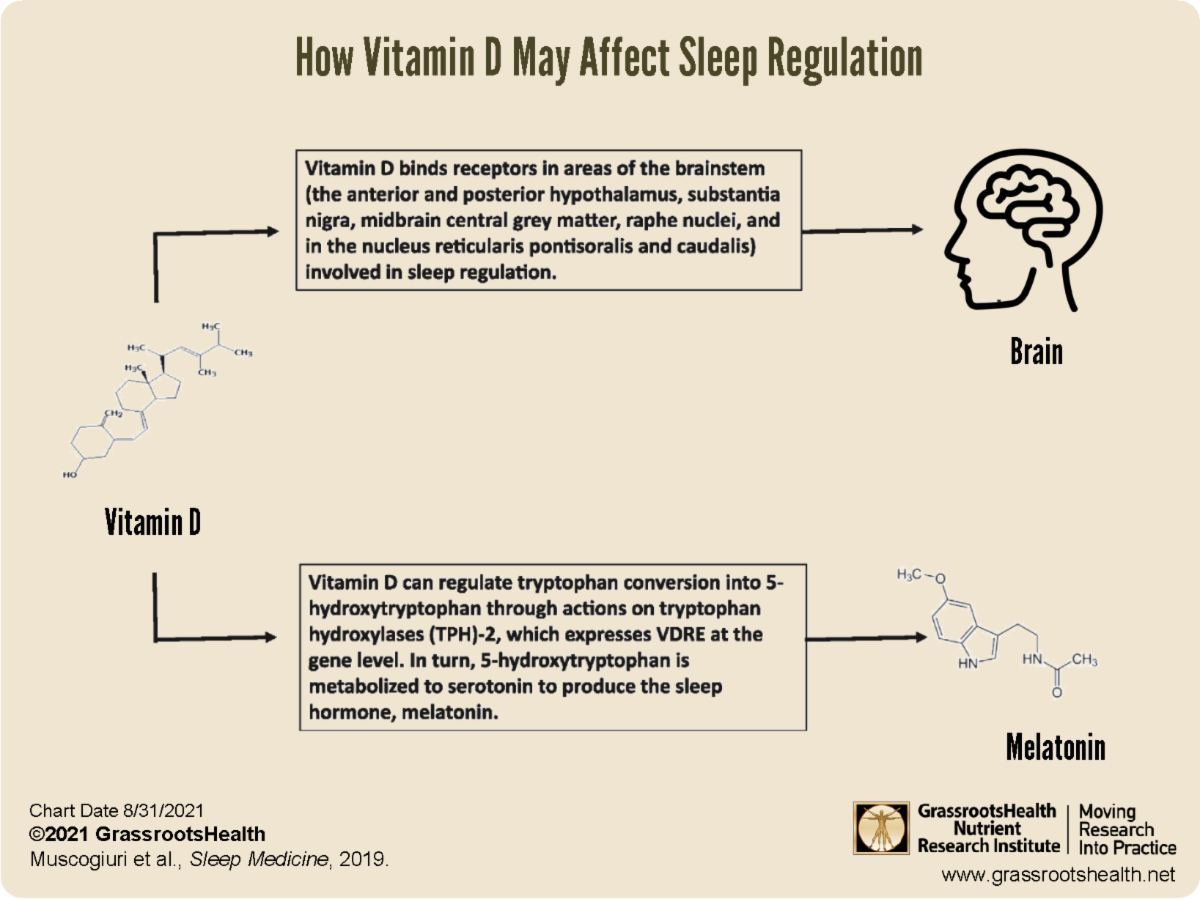 Vitamin D Level May Affect Quality of Sleep