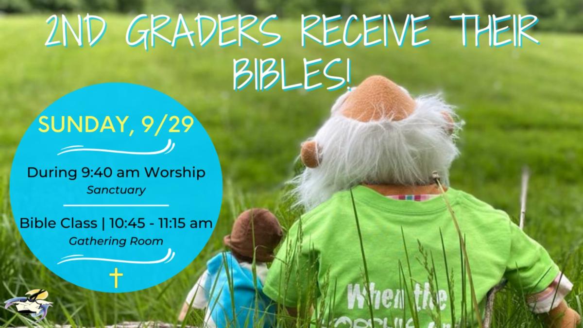 PoP Connections for Sunday after Pentecost 9.29.24