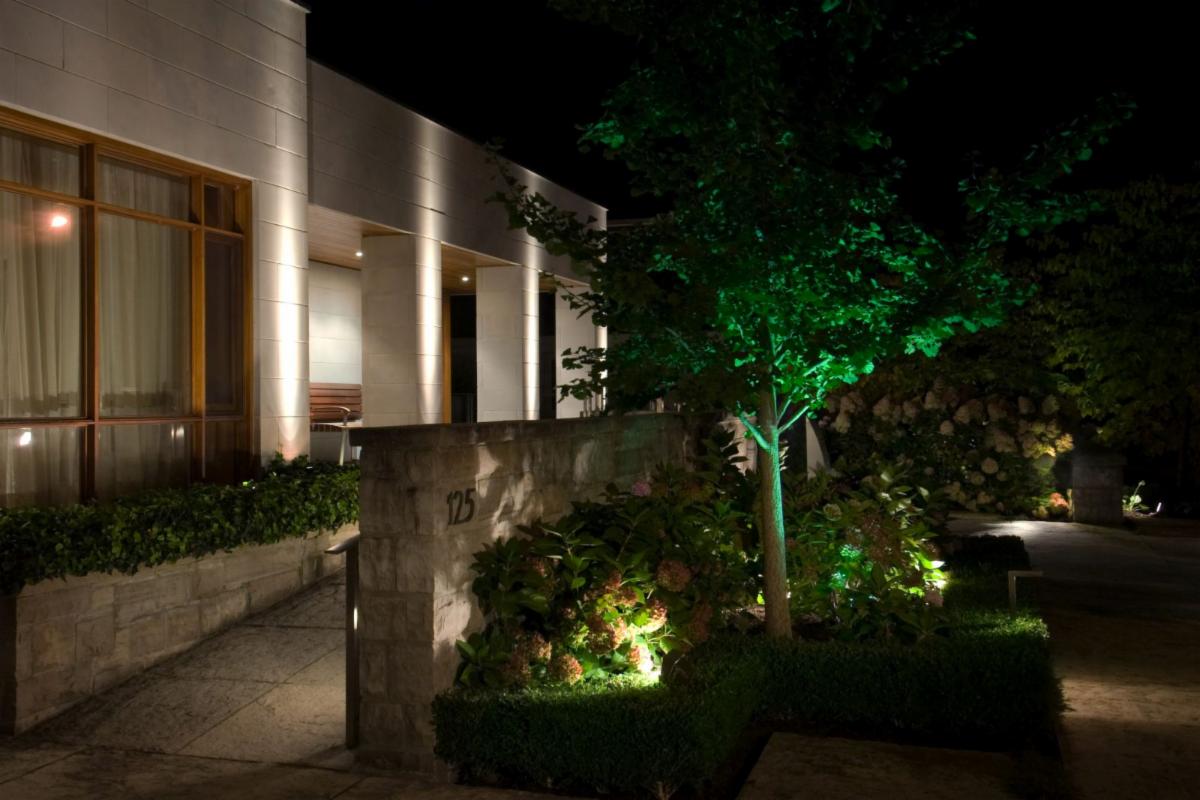 Everything you wanted to know about landscape lighting but were too