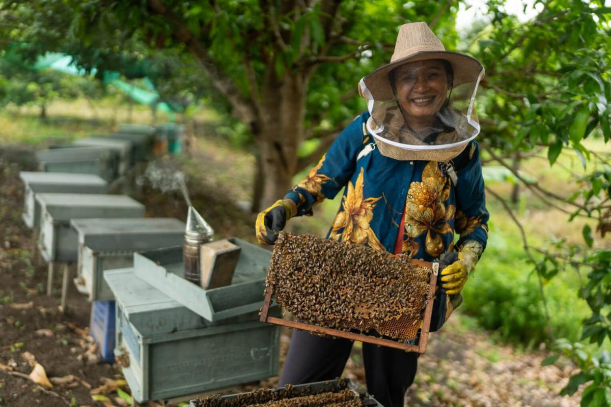 A smiling beekeeper in a beekeeping hat holds up a piece of a hive covered in bees.