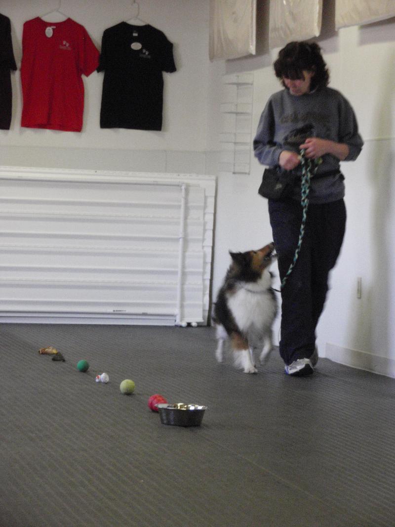 Maura and Kismet, demonstrate perfect "Temptation Alley" technique.