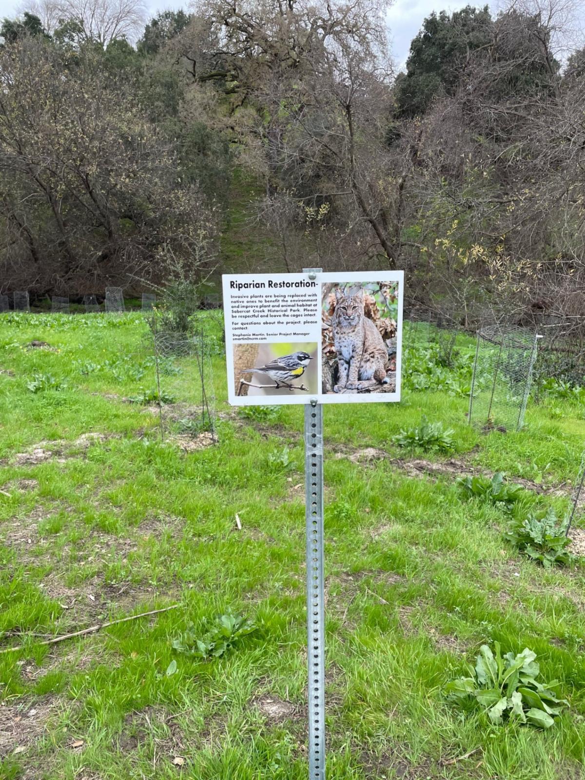 Riparian Restoration Sign at old gate along Sabercat Creek Trail between s3 and s4