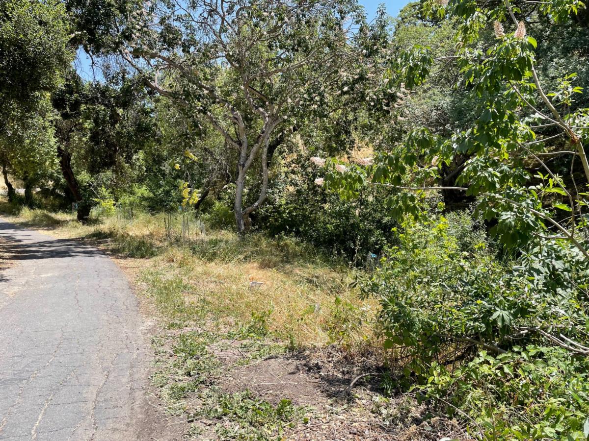 Sabercat site 2 point 5 view from west to east