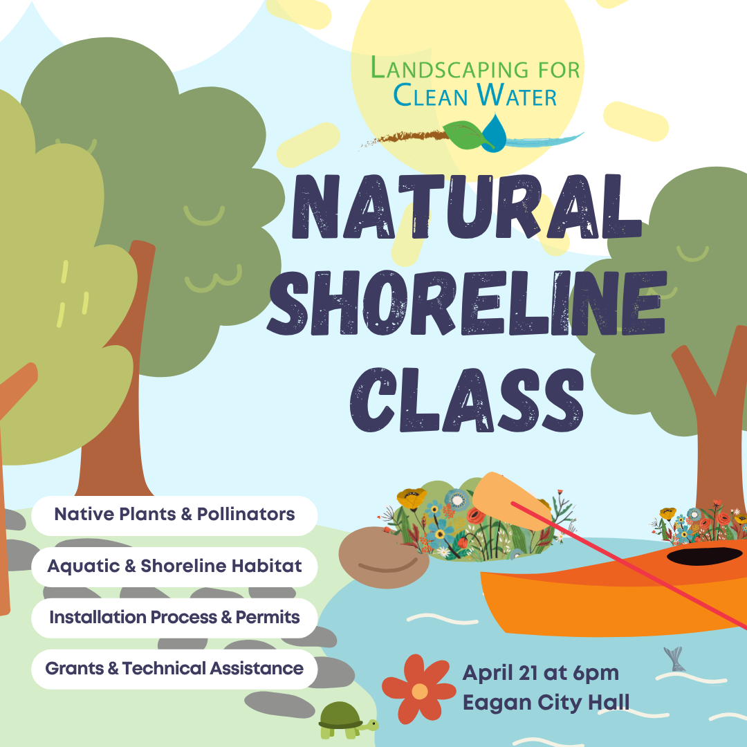 Illustrated poster showing a sunny shoreline scene with trees, water, a canoe, and small wildlife, promoting a Natural Shoreline Class with topics like native plants, aquatic habitat, installation process, and grants.