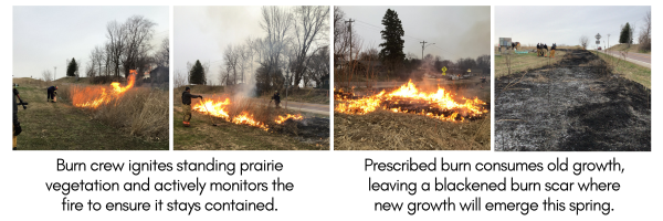 A series of images of a controlled prairie fire, with workers monitoring the flames and a last image displaying the black burn area.