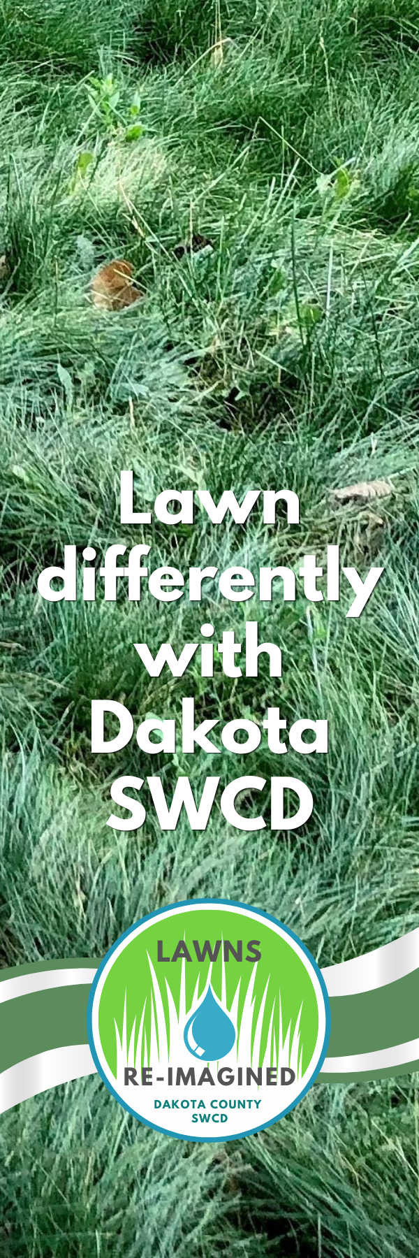 Tall, soft green fine fescue covering the ground with "Lawn Differently with Dakota SWCD" in white text promoting Dakota SWCD’s Lawns Re-Imagined program, along with the program's round logo at the bottom.