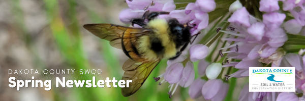 A close-up of a bumblebee collecting nectar from a cluster of soft purple flowers, with the text Dakota County SWCD Spring Newsletter on the left and the Dakota County Soil and Water Conservation District logo on the right.