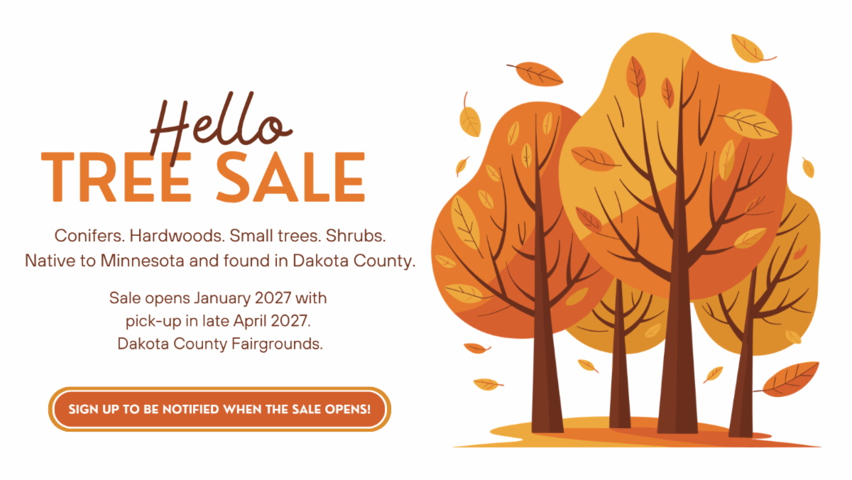 Illustrated autumn forest scene with several tall trees in warm orange and brown, surrounded by scattered fallen leaves on a pale background to the right of "Hello Tree Sale" text over tree sale details and an orange sign up button..