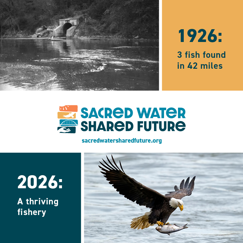 A graphic comparing 1926, when only 3 fish were found in 42 miles of water, to a projection for 2026 of a thriving fishery. The graphic also features the Sacred Water Shared Future logo and website, and an image of a bald eagle carrying a fish.