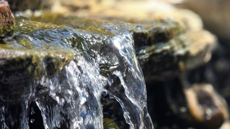 A close-up picture of water burbling over a slick, mossy stone in a mini waterfall. Sunlight reflects off the water.