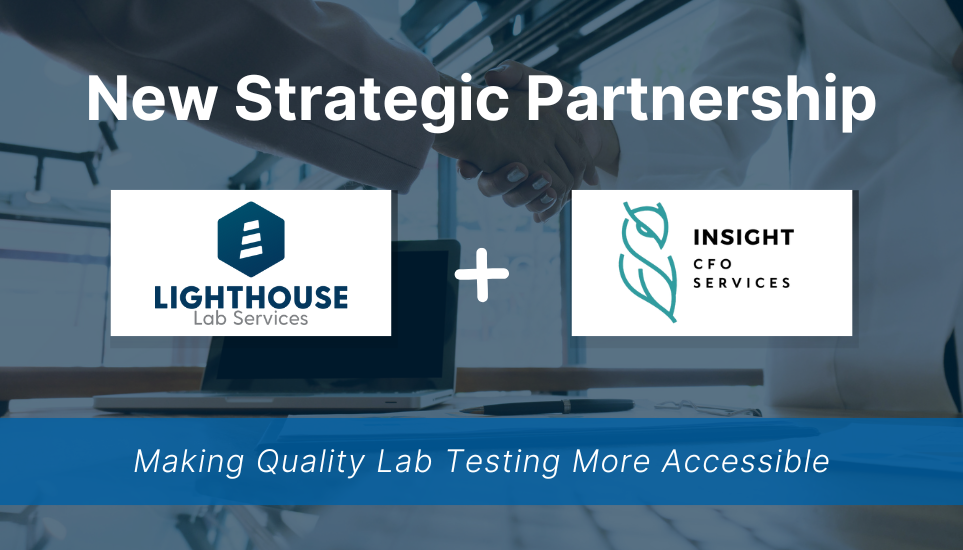 Lighthouse Insight CFO partnership graphic